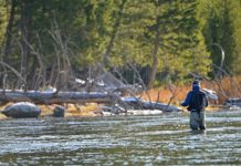 Love ‘A River Runs Through It’? Then Visit These Locations Where It Was Filmed