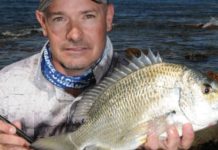 Rockin’ bream: light tackle luring off the stones