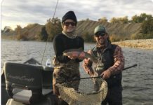 Meandering Angler: Fabulous fishing on bay