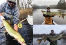 Book Excerpt: How to Catch Muskies in Fall