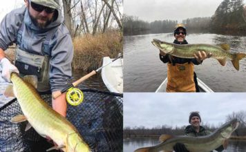 Book Excerpt: How to Catch Muskies in Fall