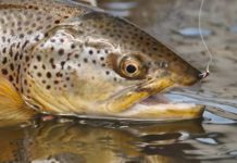 Master Class Monday: How to Fight Big Fish on Small Flies