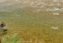 Master Class Monday: How to Fish Riffles for Trout