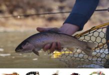 Video: Top 5 Flies for November 2020