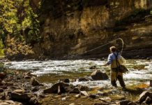 On the Fly: Distancing since 1613