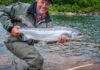 PAUL SMITH: Why I want a new fly rod | Local-Lifestyles | Lifestyles