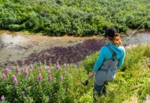 Victory at Last in the Fight Against Pebble Mine!