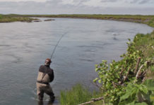 Video Pro Tips: How to Set the Hook While Swinging Flies