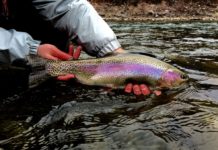 On the Fly: Stealth Matters