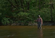 Pro Tips: How to Use a Water Haul for Casting