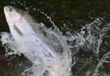 Northwestern Pennsylvania weekend fishing report, Jan. 1-3