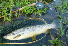 Home waters | The River Reporter