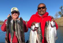 Kings hitting at Berryessa, Oroville as river salmon season ends