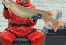 Fishing in tributaries, lakes should be helped by storm | Outdoors
