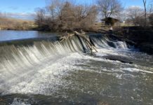 The Horlick Dam on the Root River will likely be gone by 2024, but county is still studying best way forward | Local News