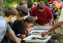 Smoky Mountain Trout Camp Renamed In Honor Of Thurman | Hancock County