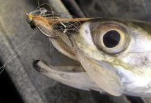 Don’t give me purpose: Too much pressure can lead to missing your shots | Waterline