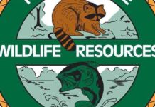 Final 2020 fish and wildlife commission meeting held | Sports