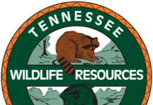 Fish And Wildlife Commission holds final 2020 meeting | Local Sports