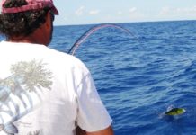 Remembering a first: Catching mahi-mahi on fly | Fishing