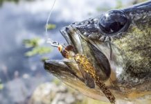 What else are you going to do? | Waterline