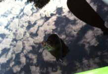 Local Creeks, Lakes Allow for Fly Fishing Opportunities | Sports