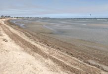 5 Reasons To Fall In Love With Rockport, Texas In The Winter