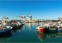 Hawaii longliners will convert to mono leaders