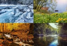 Our favorite river seasons | American Rivers