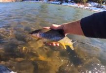 Video: A Solo Float for Trout