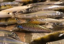 Christmas can come any time during the year