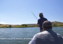 Video Pro Tips: How to Fish Tailwaters