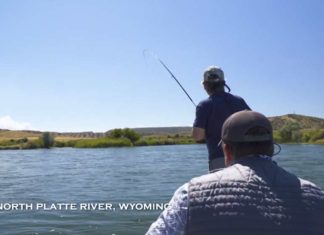 Video Pro Tips: How to Fish Tailwaters