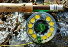 The Best Fishing Line Options for Reeling in a Catch