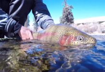 Video: “Winter Blues” in Colorado