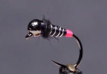 Video: How to Tie the Brite Butt Zebra Midge