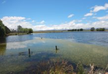 Landing good fish despite extreme weather