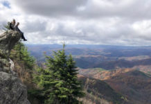 The Best Things To Do In Blowing Rock, Plus Where To Eat And Stay