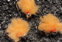 Pro Tips: George Daniel’s Favorite Winter Fly