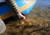 Video: Trout Smackdown in Western Colorado