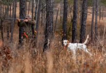 The High Adventure Experience – Cityview