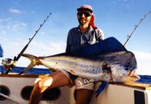 Mahi mahi, Dorado, Dolphinfish – Coryphaena hippurus