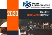 Global Fly Fishing Rods Market 2020