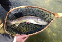 Pro Tips: The Only Two Terminal Knots You Really Need