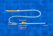 Video Pro Tips: When and How to Hang a Nymph Off a Streamer