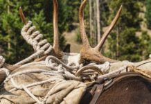 5 Cyber Monday Deals for the Hunter & Angler