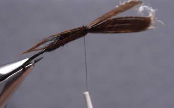 Video: When to Reverse Thread Direction and Why