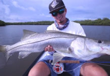 Fish Facts: Common Snook (Centropomus undecimalis)