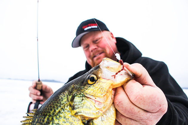 Top 5 Panfish Lures IceFishingFIRST - Xpert Fly Fisher