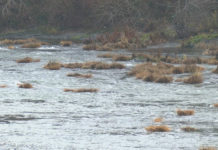 Nonprofit aims to get veterans outdoors next year with new grant